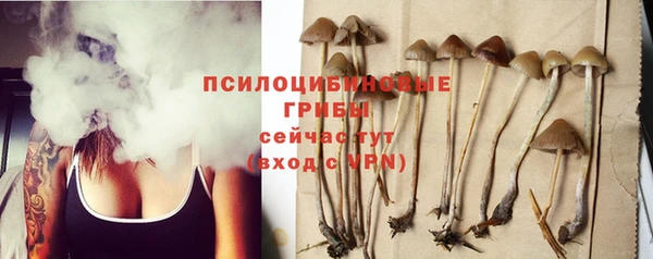 мет Ладушкин