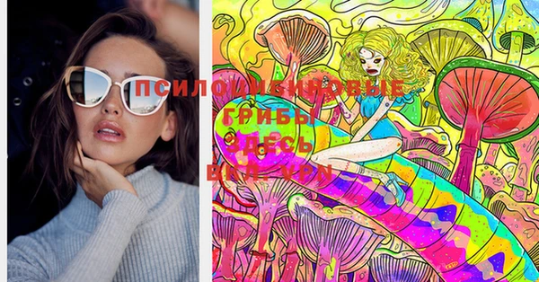 ГАЛЛЮЦИНОГЕННЫЕ ГРИБЫ Лагань