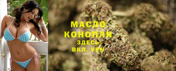 ГАЛЛЮЦИНОГЕННЫЕ ГРИБЫ Лагань