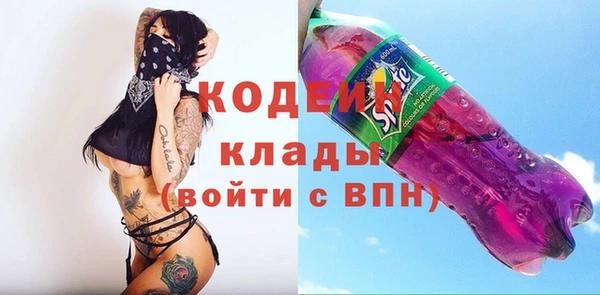 ГАЛЛЮЦИНОГЕННЫЕ ГРИБЫ Лагань